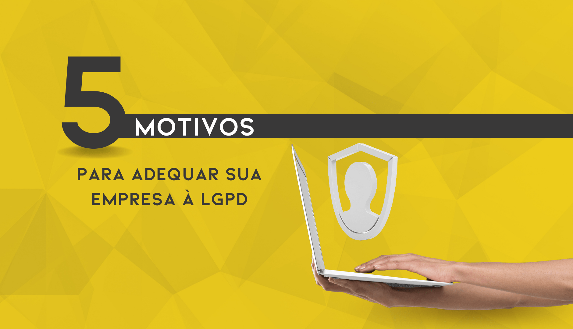 5 Motivos Para Adequar Sua Empresa à LGPD