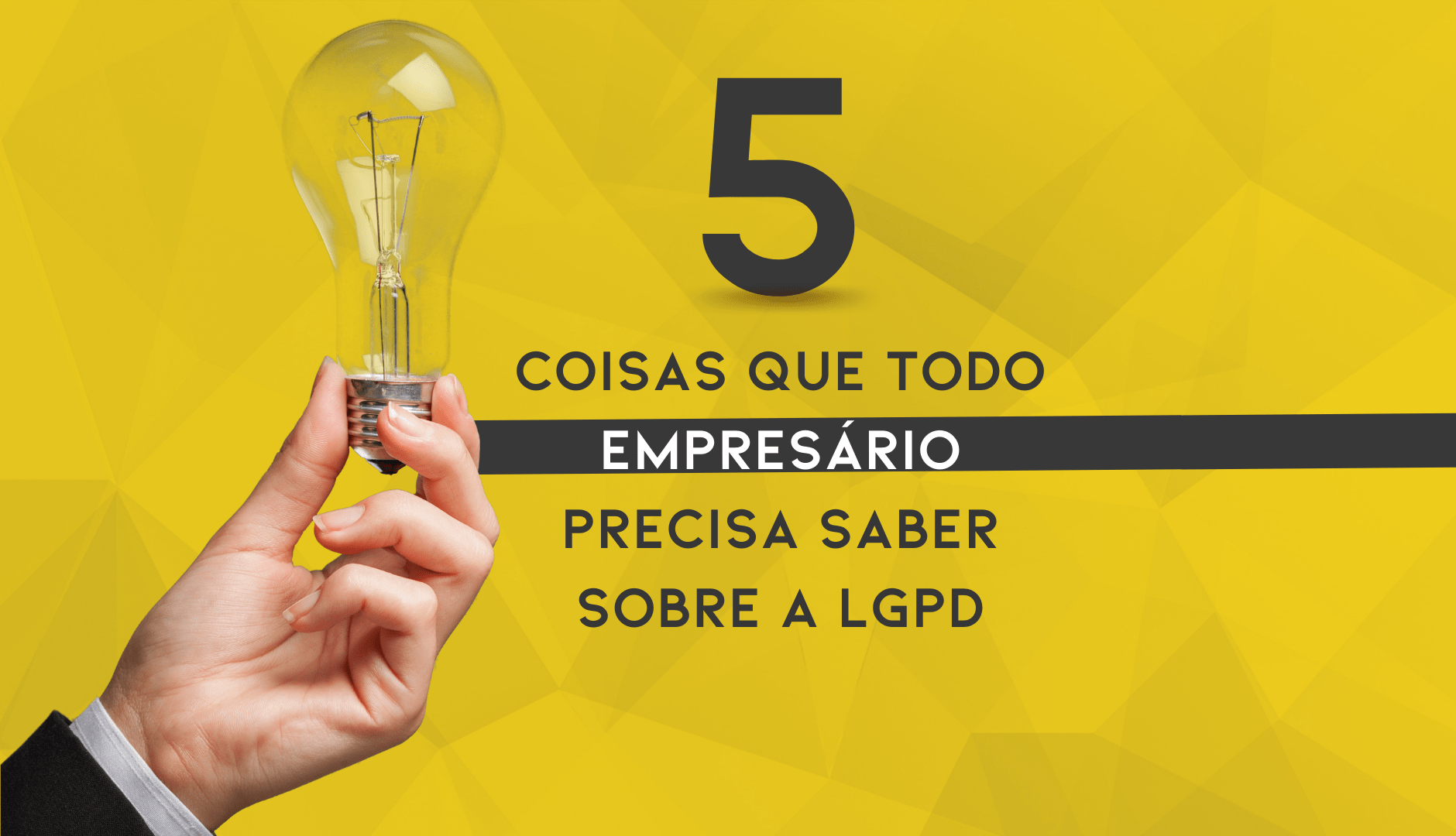 5 Coisas Que Todo Empresário Precisa Saber Sobre A LGPD