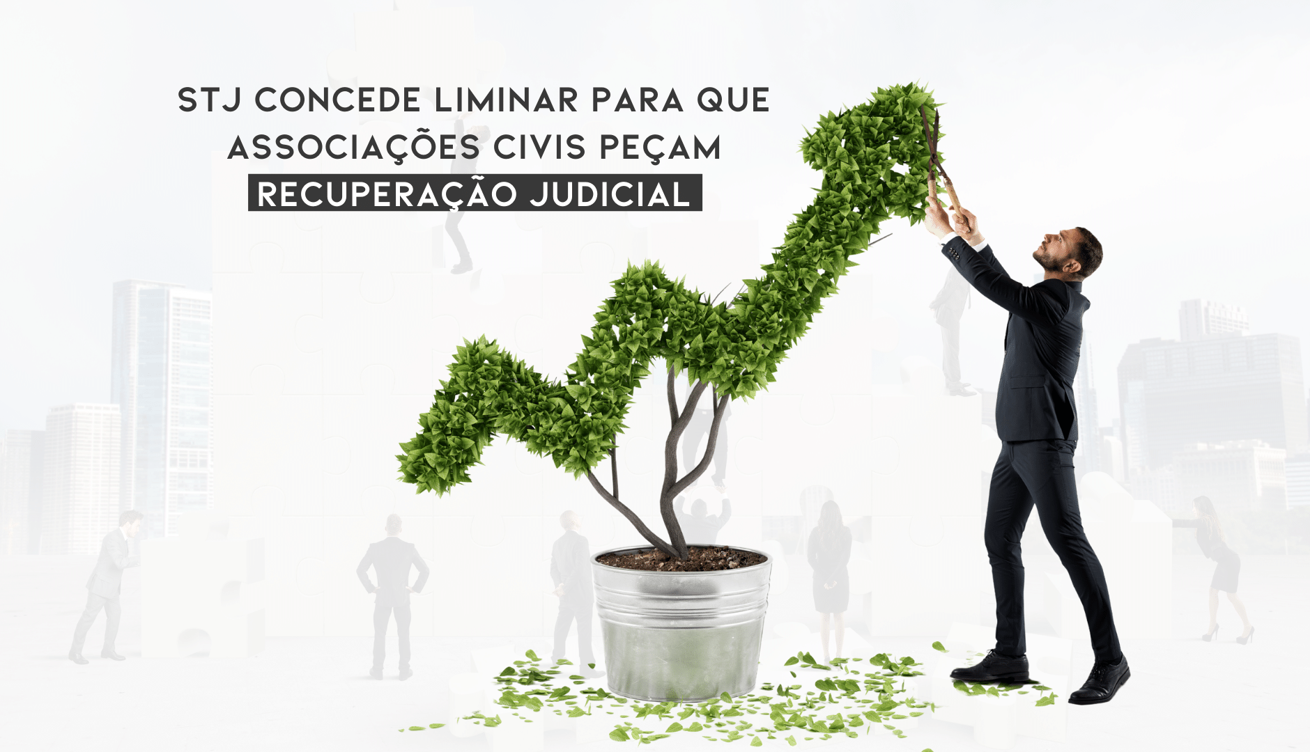 Associações Civis